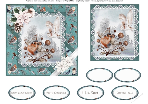 Christmas Scenes 43 Robin/Snowy Owl 6 x 6 Card Front with Topper and Sentiments