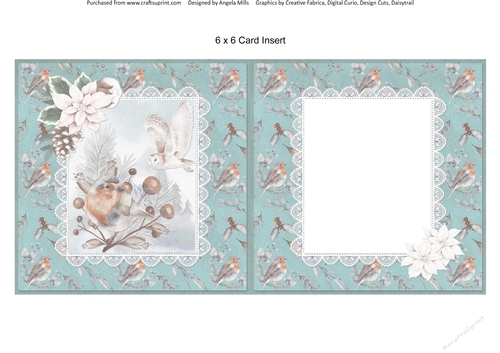 Christmas Scenes 43 Robin/Snowy Owl 6 x 6 Card Insert with Robins/Teal Background, Blank