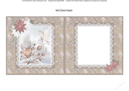 Christmas Scenes 44: Robin/Snowy Owl 5 x 5 Card Insert with Kraft/White Winter Floral Background, Blank