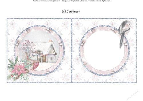 Snowy Village 6: Snowy Cottage & Robin 5 x 5 Card Insert with White Snowflakes Background