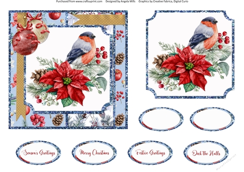 Christmas Cheer 8: Bullfinch/Poinsettia/Baubles 6 x 6 Card Front with Topper and Sentiments