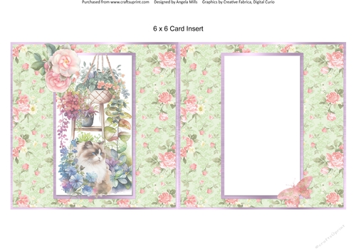 Summer Garden Cats 5: Ragdoll 6 x 6 Card Insert with Pink/Green Roses Background