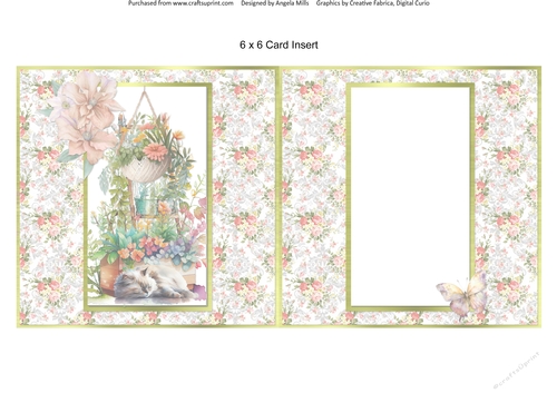 Summer Garden Cats11: Sleeping Ragdoll 6 x 6 Card Insert with Peach/Green Floral Background