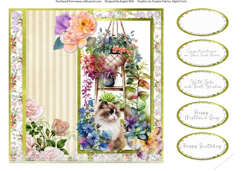 Summer Garden Cats 7: Ragdoll 8 x 8 Card Front with Sentiments