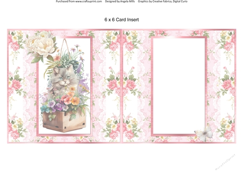 Summer Garden Cats 8: Grey Cat 6 x 6 Card Insert with Pink & White Rose/Lace Background