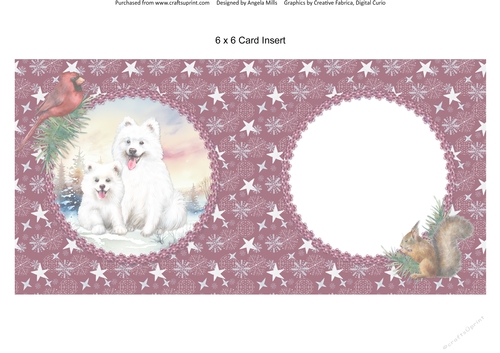 Winter Scenes Dogs 8: Samoyeds 6 x 6 Card Insert with Wine/White Stars & Snowflakes Background