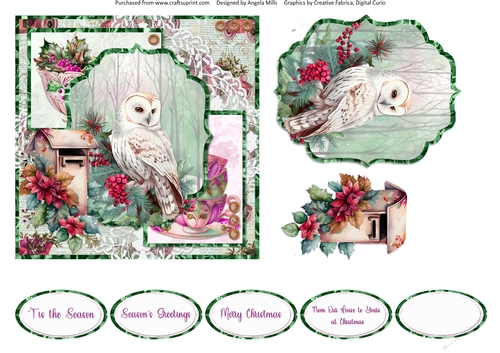 Winter Birds 5: Owl 6 x 6 Card Front with Topper, Decoupage and Sentiments