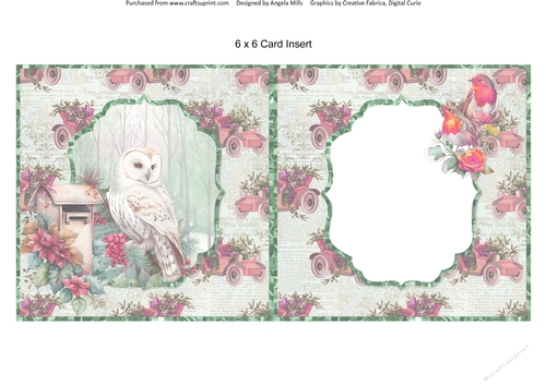 Winter Birds 5: Owl 6 x 6 Card Insert with Green/Red Vintage Cars Background