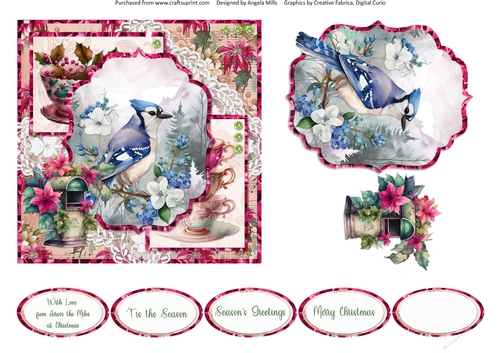 Winter Birds 14: Blue Jay 6 x 6 Card Front with Topper, Decoupage and Sentiments