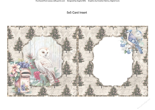Winter Birds 6: Owl 5 x 5 Card Insert with Brown/Cream Christmas Tree Background