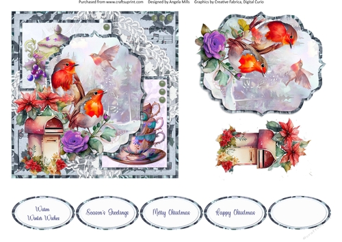 Winter Birds 11: Robins 6 x 6 Card Front with Topper, Decoupage and Sentiments