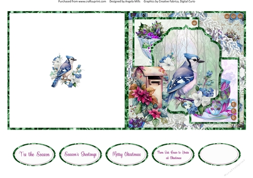 Winter Birds 15: Blue Jay 5 x 5 Quick Cut & Fold Card with Sentiments