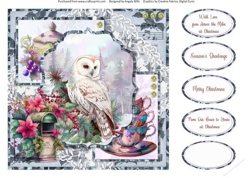 Winter Birds 7: Owl 8 x 8 Quick Card Front with Sentiments