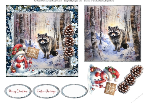 Winter Woodland 11: Raccoons 6 x 6 Card Front with Topper, Decoupage & Sentiments