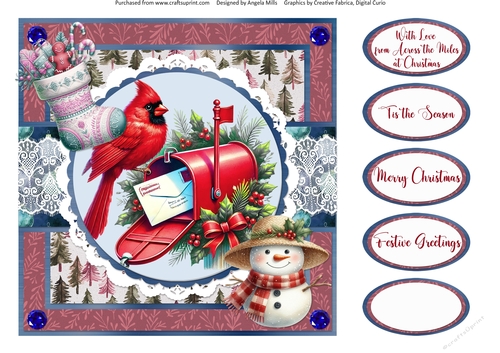 Robins & Cardinals Christmas 7: Mail Box/Cardinal 8 x 8 Quick Card Front with Sentiments