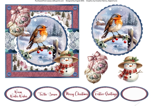 Christmas Robins & Cardinals 11: Robin in Snowy Scene 6 x 6 Card Front with Topper, Decoupage & Sentiments