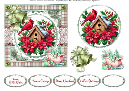 Christmas Robins & Cardinals 14:  Cardinal on Poinsettia Bird House 6 x 6 Card Front with Topper, Decoupage & Sentiments