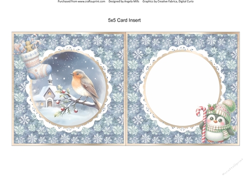 Christmas Robins & Cardinals 15: Robin & Church Snowy Scene 5 x 5 Card Insert with Blue Snowflakes Background