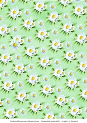 A4 Background Paper Daisies Design, Light Green