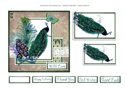 6 x 6 Vintage Peacock Card Front with Toppers and Sentiments
