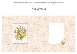 6 x 6 Card Insert Nasturtiums on Peach Floral Background Blank