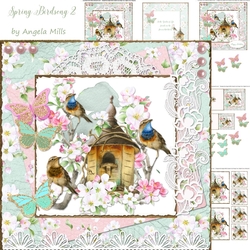 Spring Birdsong 2 7 x 7 Card Mini Kit, 6 Sheets, Pink/Green