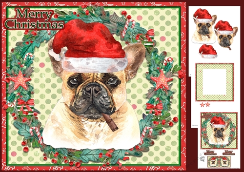 Christmas French bulldog with santa hat