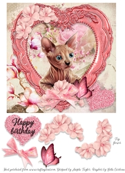 Hairless flower cat