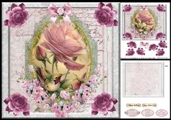 7x7 hummingbird