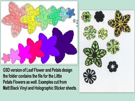 Leaf Flower & Petals