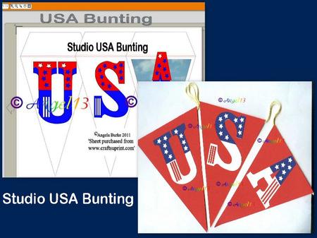 Usa Bunting