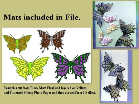 Butterfly Love & Mats