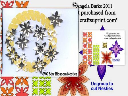 Star Blossom Nesties