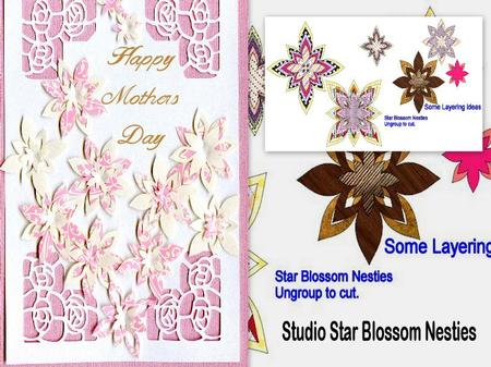 Blossom Nesties