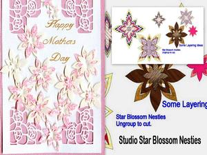 Blossom Nesties
