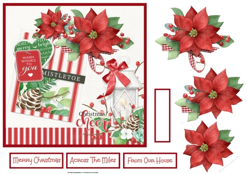 Mistletoe and poinsettia