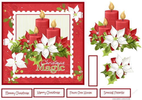 White ponsettia and candles