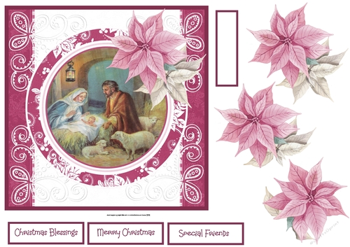 Nativity scene and poinsettia