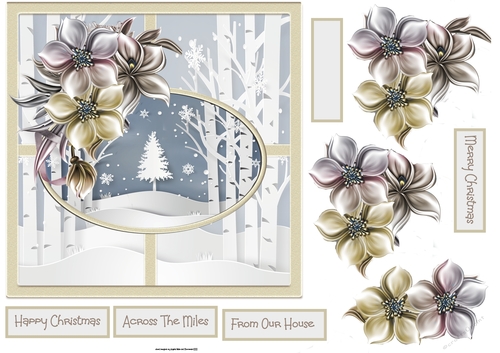 Winter Forrest and winter flowers