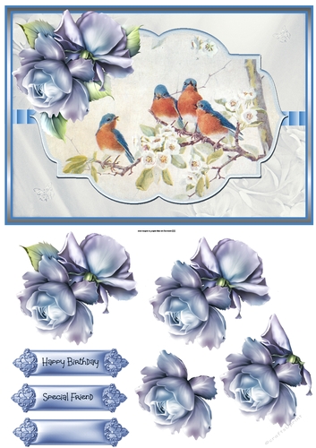 Summer birds and rose