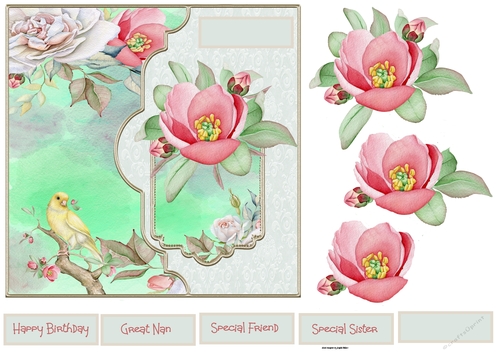 wild rose and bird