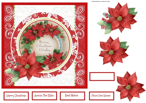 Red Poinsettia