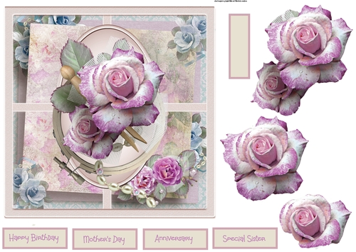 Birthday and anniversary rose