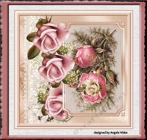 Anniversary rose