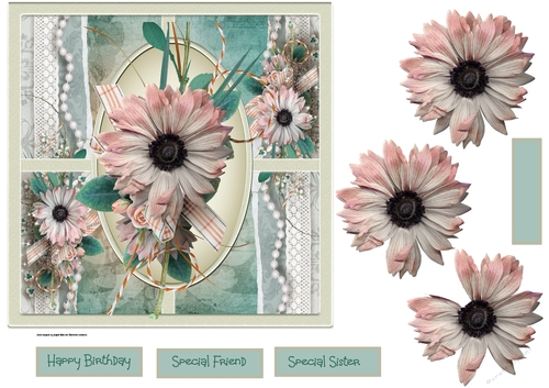 Pink daisy