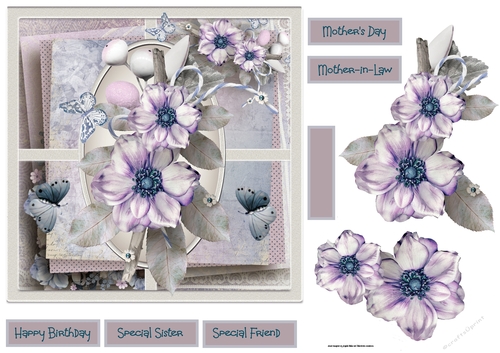 Purple anemones