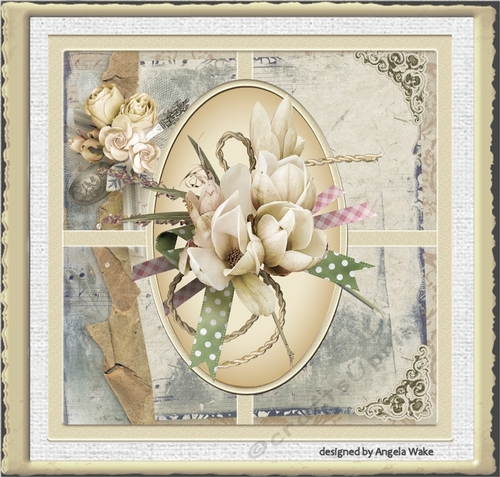 Cream Orchid