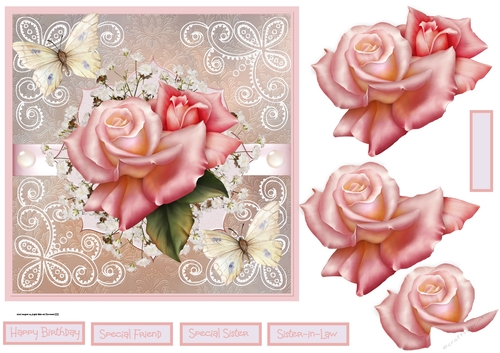 Pink rose and butterfly
