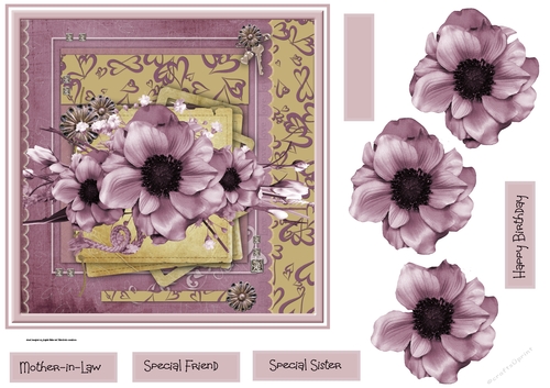 Mothers Anemone 7x7 card
