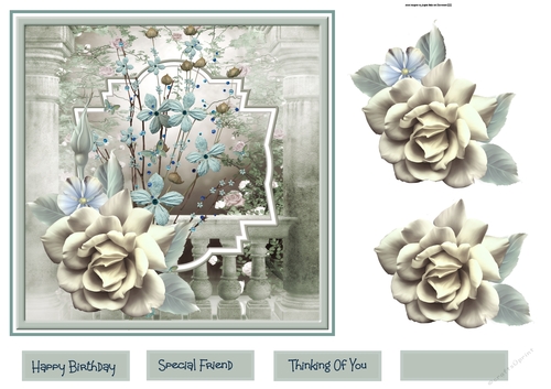 Special rose garden 7x7